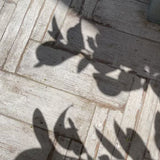 The Collier (Diamond Tennis Necklace) 4 Prong