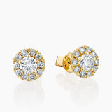 Horizon Earrings- Yellow Gold