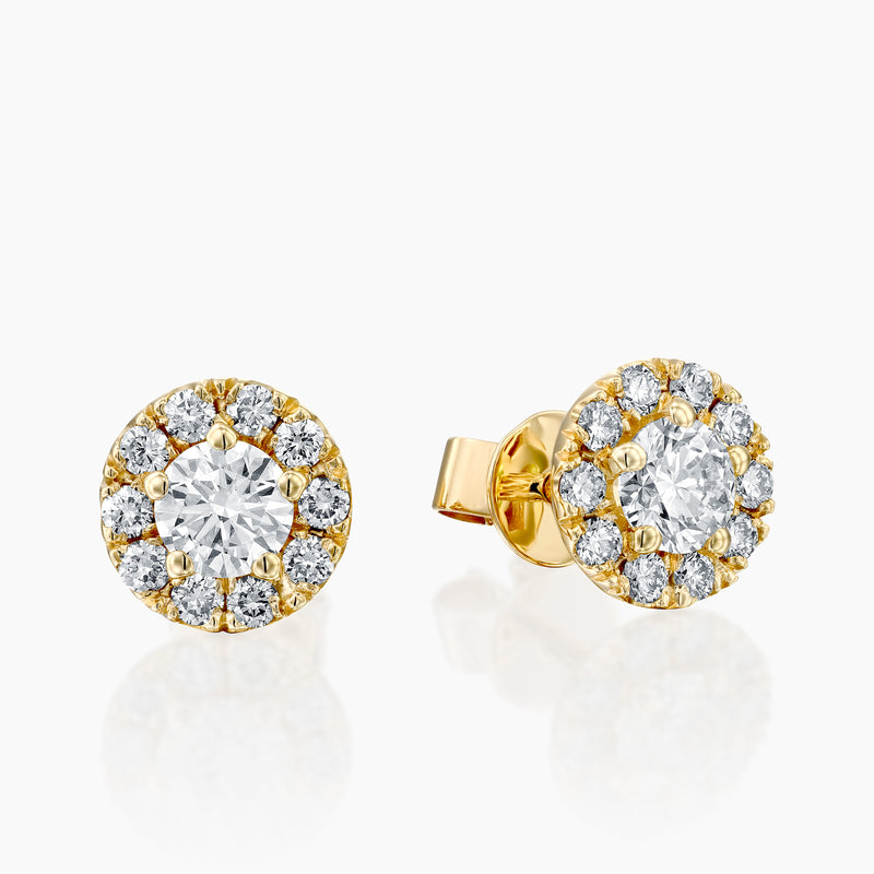 Horizon Earrings- Yellow Gold