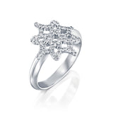 ARISH Logo Ring in White Gold and Round Brlliant Diamond Ring, DANA ARISH Jewelry